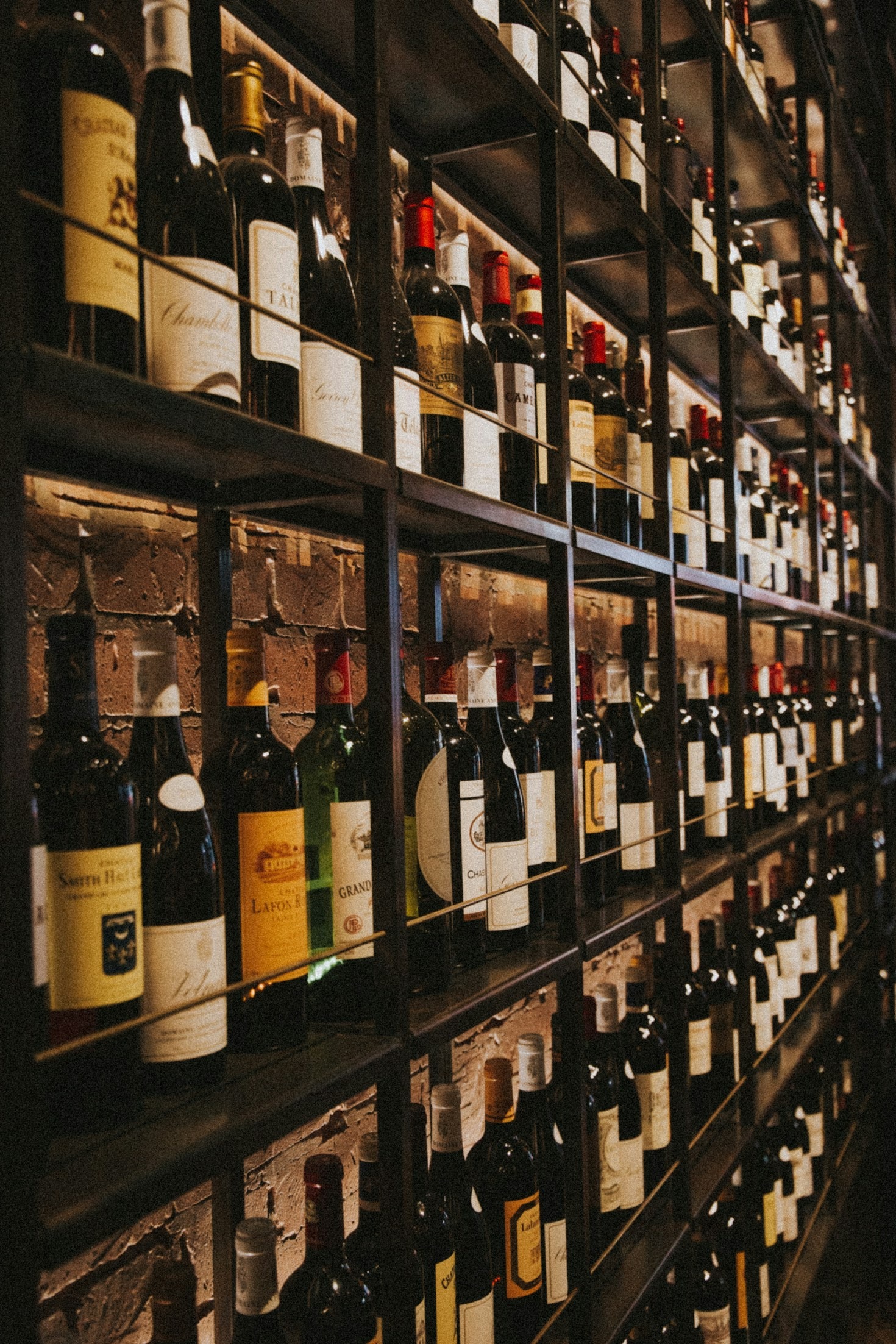 Exploring The Hidden History Of Traditional Vineyards